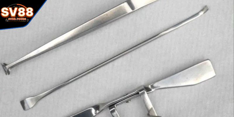 Các từ chỉ về dụng cụ trong đá gà